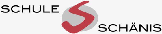 Logo Schule Schänis SG